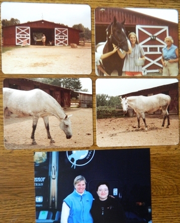 Mrs. Wiseman, Coquina, and Julie Books with Karen O'Connor