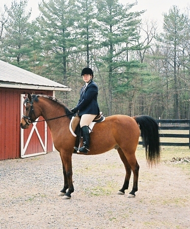 Julie Books riding Journey, grandson of the famous Arabian stallion Huckleberry Bey++ and son of Desperado V