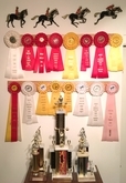 Julie N. Books: IHSA Ribbons, Softball Trophies, Olympic Weightlifting Trophies